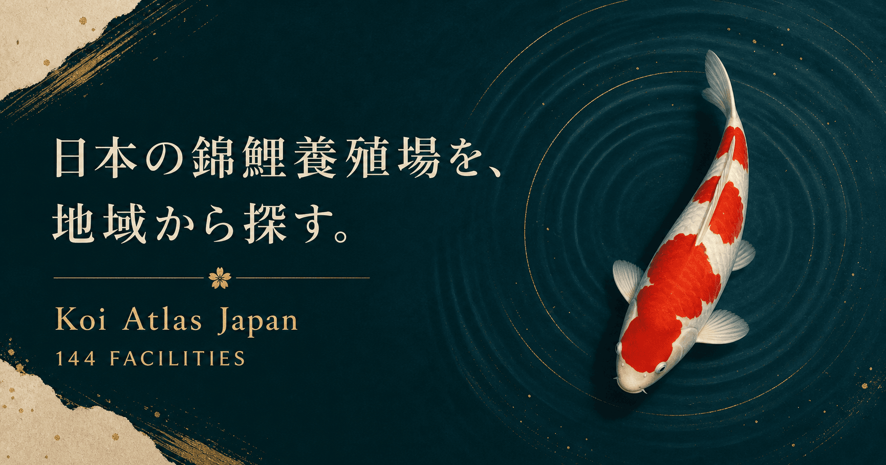 錦鯉が泳ぐ Koi Atlas Japan のビジュアル